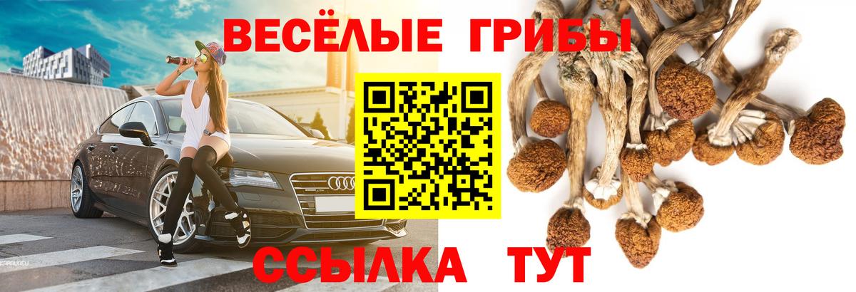 Галлюциногенные грибы мухоморы Самара